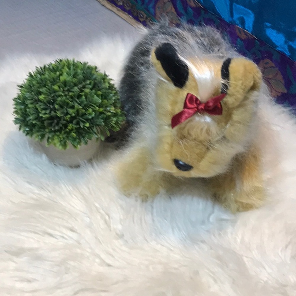 Animal Alley soft plush stuffed life like Yorkie Terrier Yorkshire Terrier